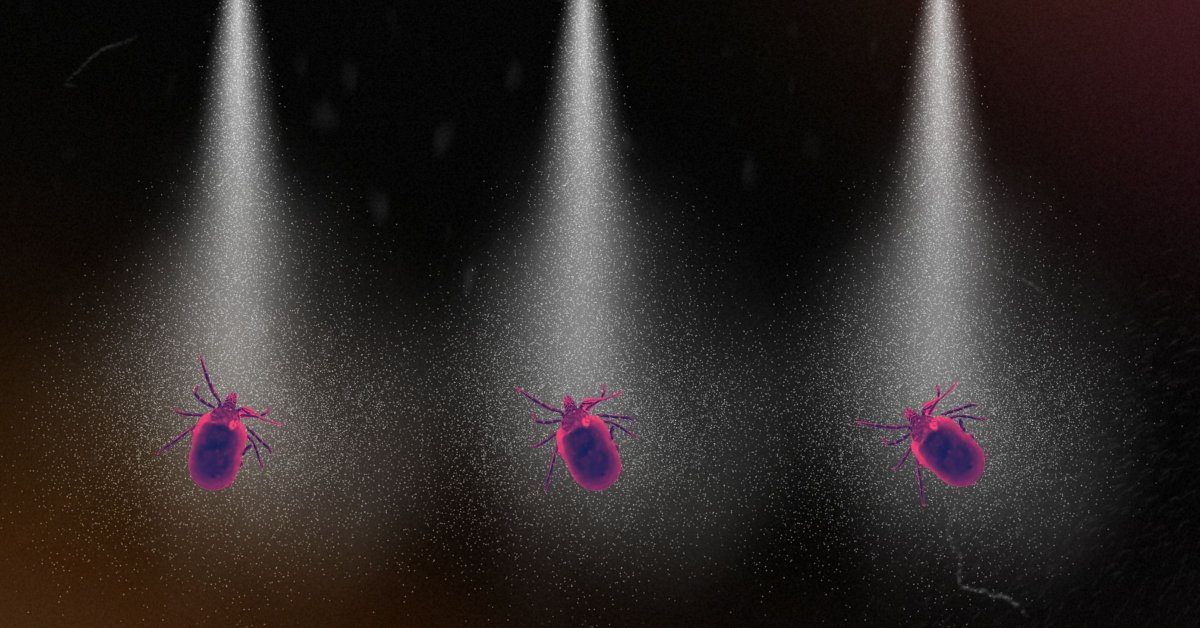 Co Experti Používají k Odpuzování Klíšťat a Komárů: Permethrin Pod Lupou